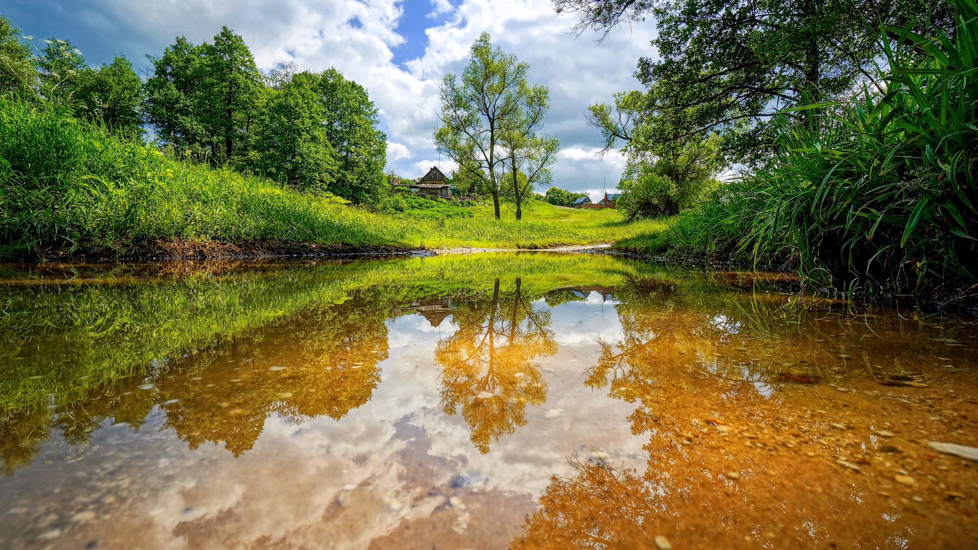 river summer landscape