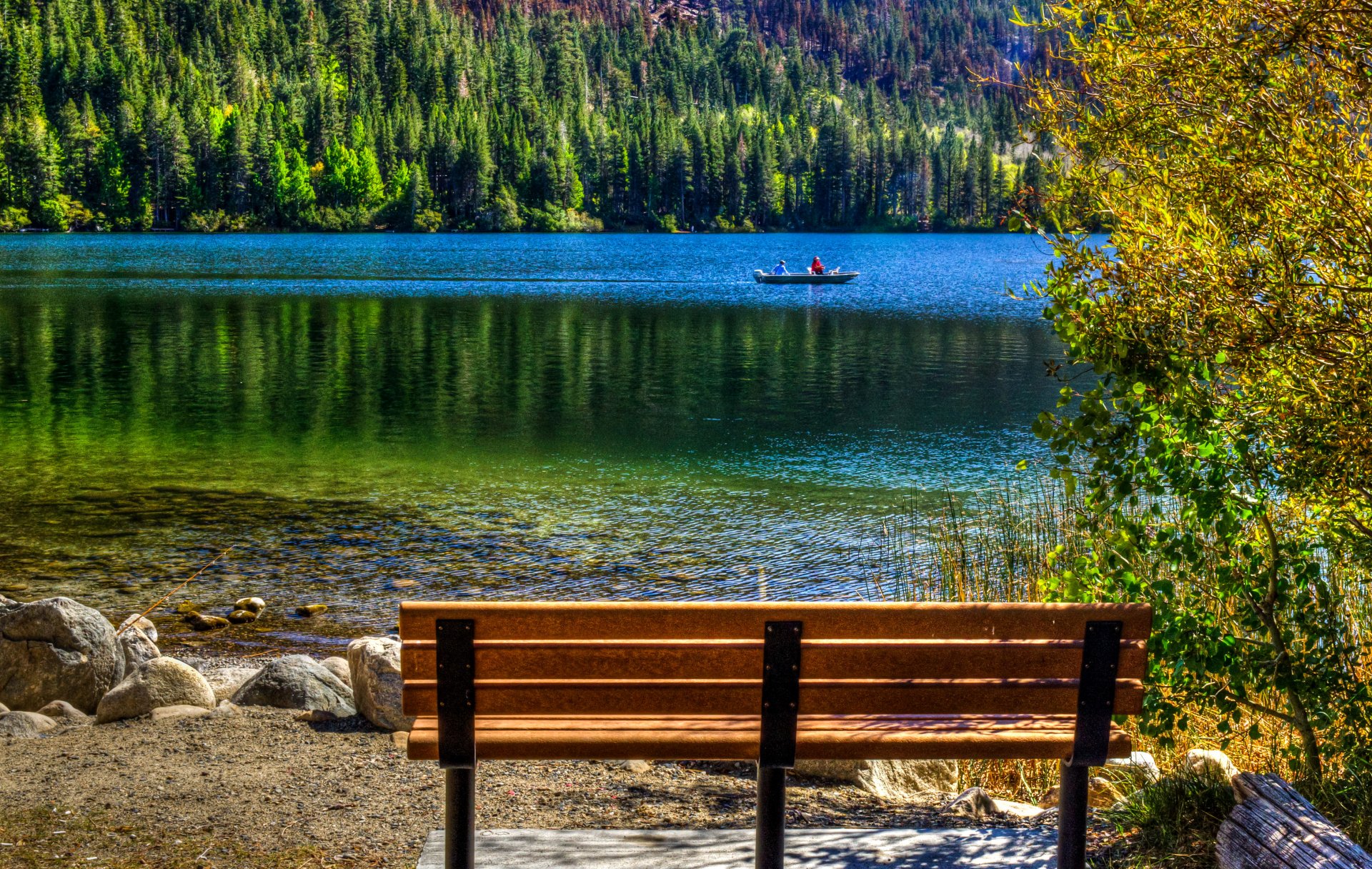 june lake california united states lake boat forest tree beach stones bench