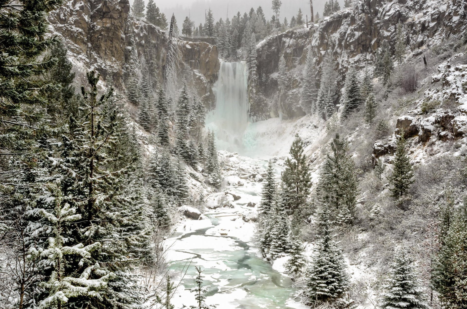 wasserfall winter schnee natur wald