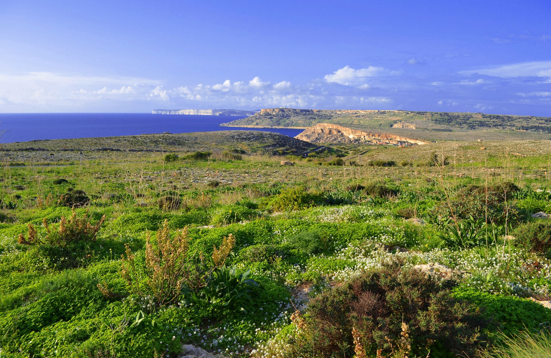 malte île ciel nuages fleurs mer herbe pré