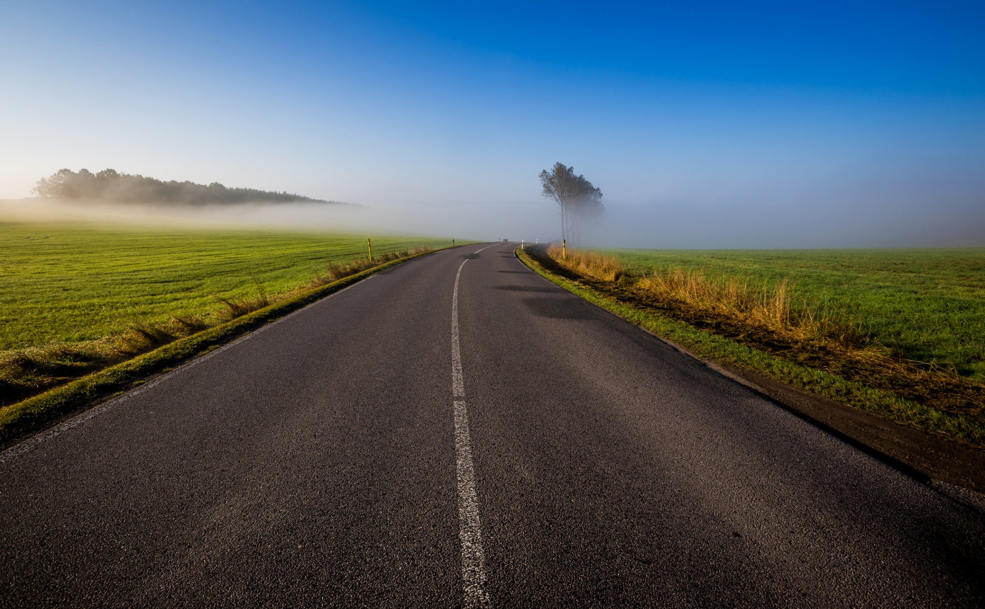 ciel matin route champ arbres herbe brouillard