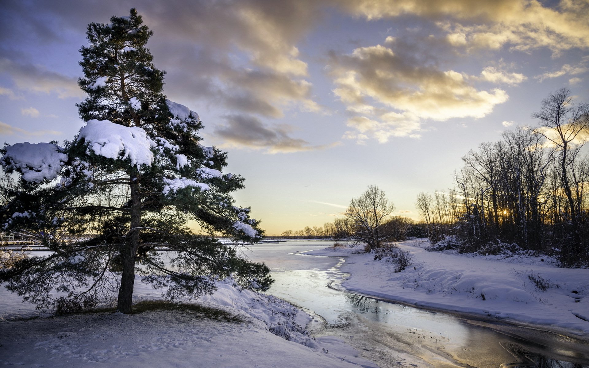 fluss baum schnee