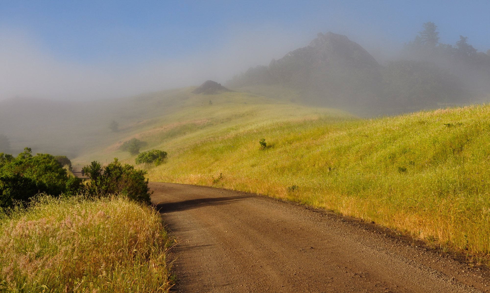 montagnes matin brouillard nature