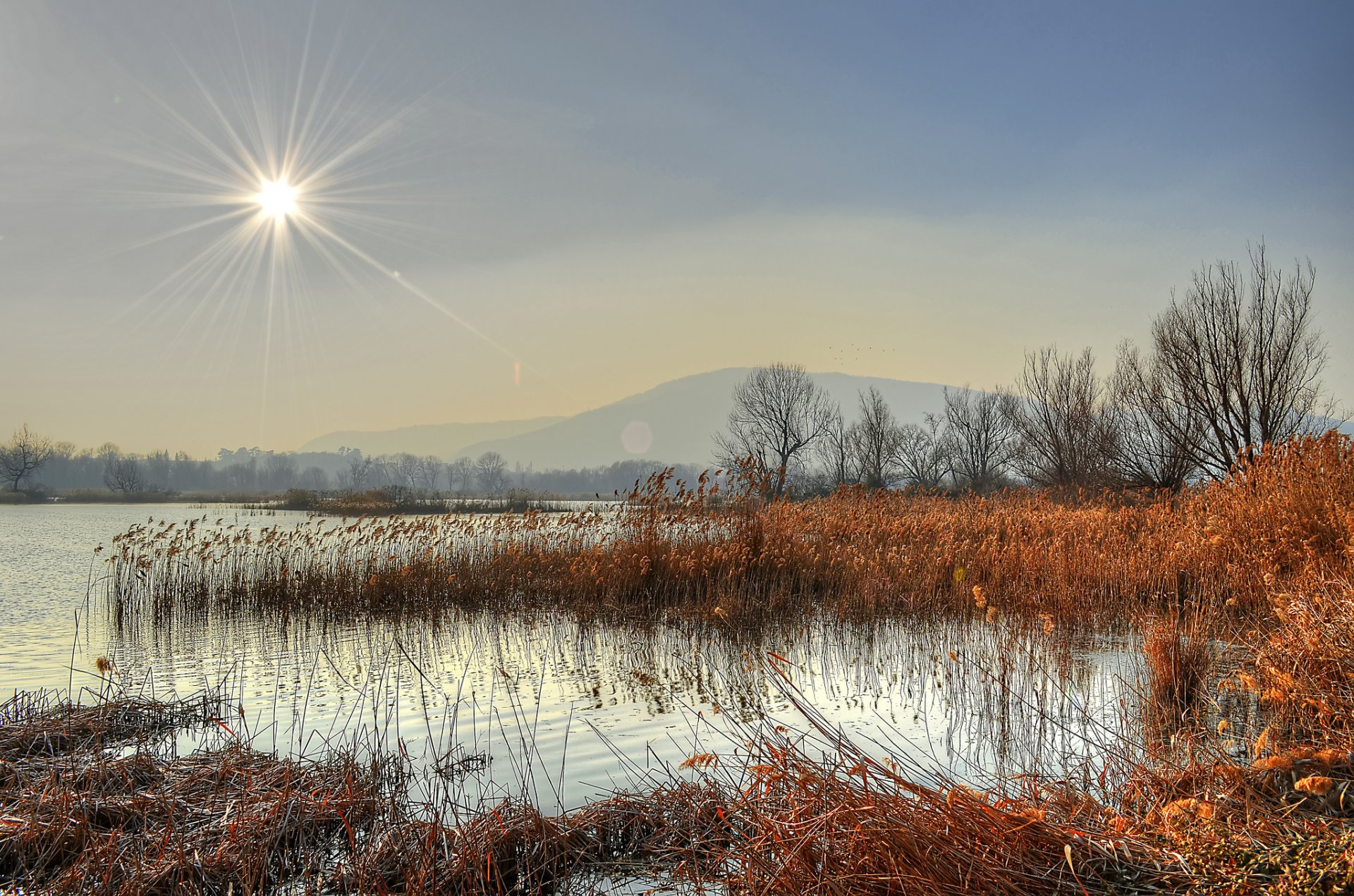 mountain lake forest reed sun rays late autumn