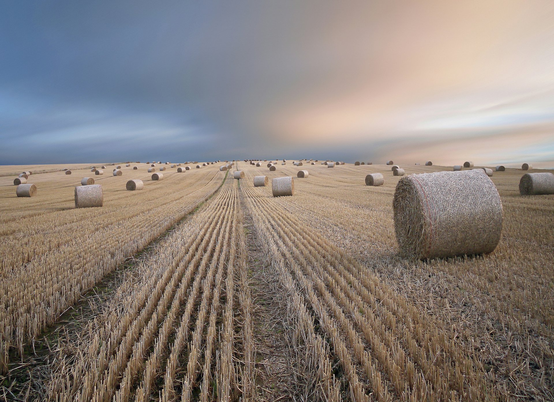 campo fieno estate paesaggio