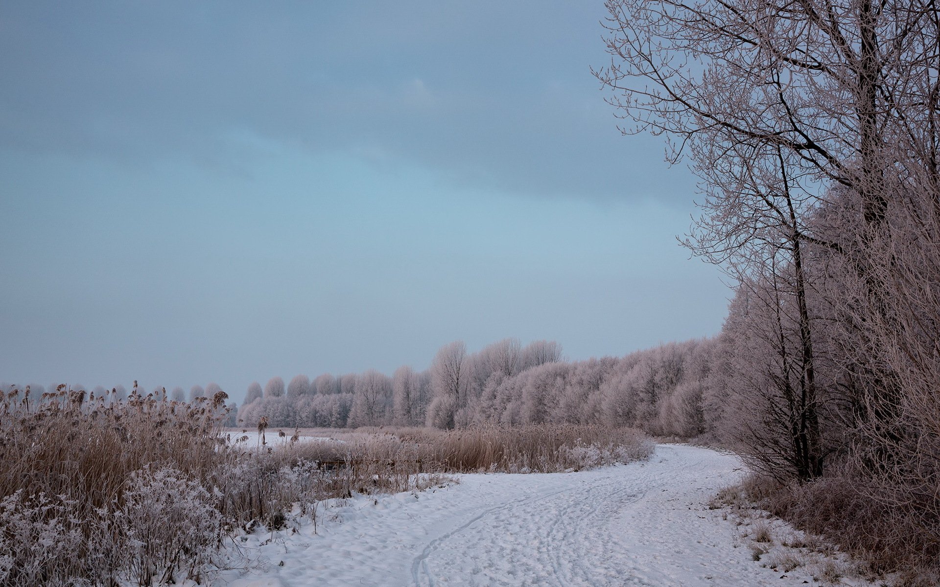 straße winter landschaft