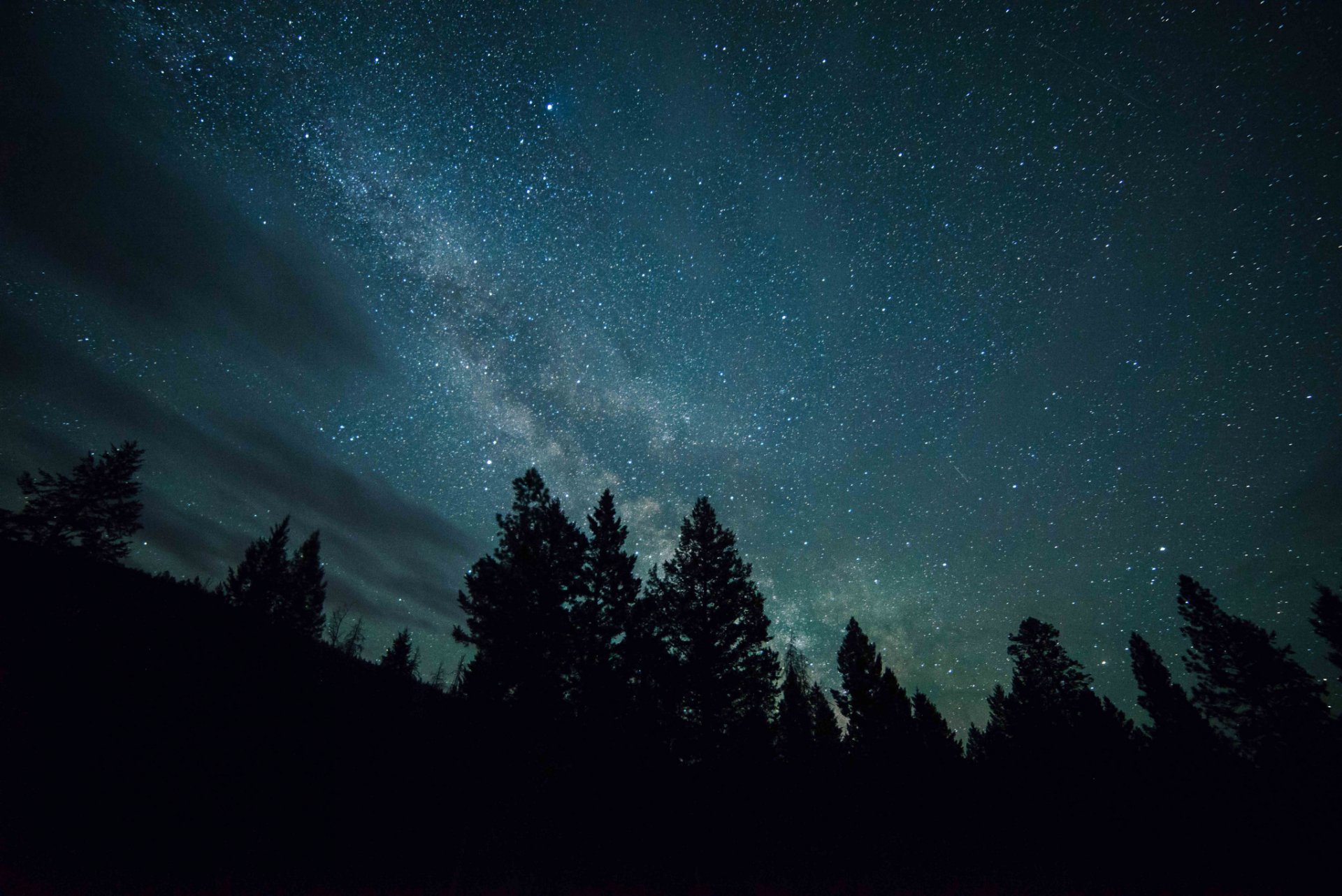 noche bosque cielo estrellas vía láctea