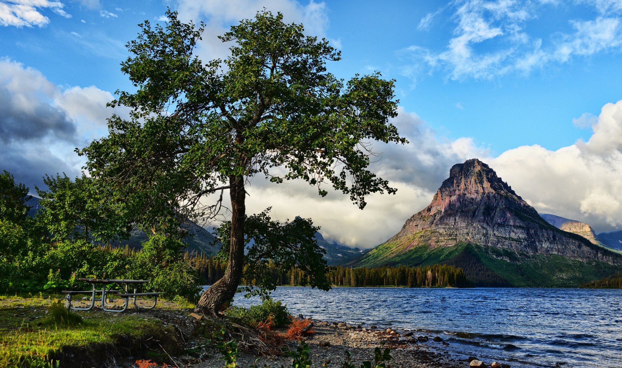 montañas lago árbol paisaje