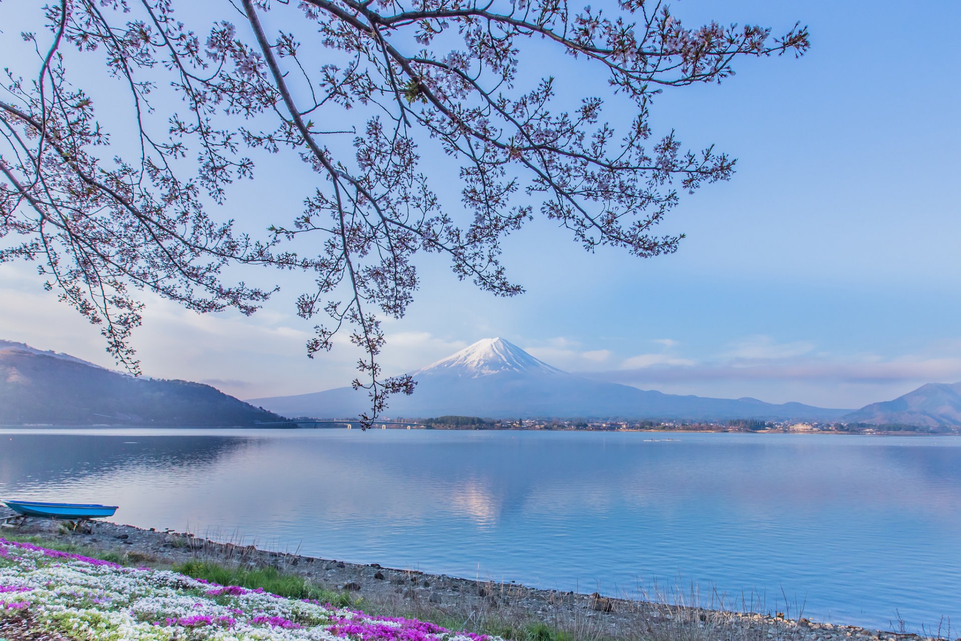 mont fuji lac kawaguchi japon fujiyama fuji montagne volcan lac bateau branches fleurs