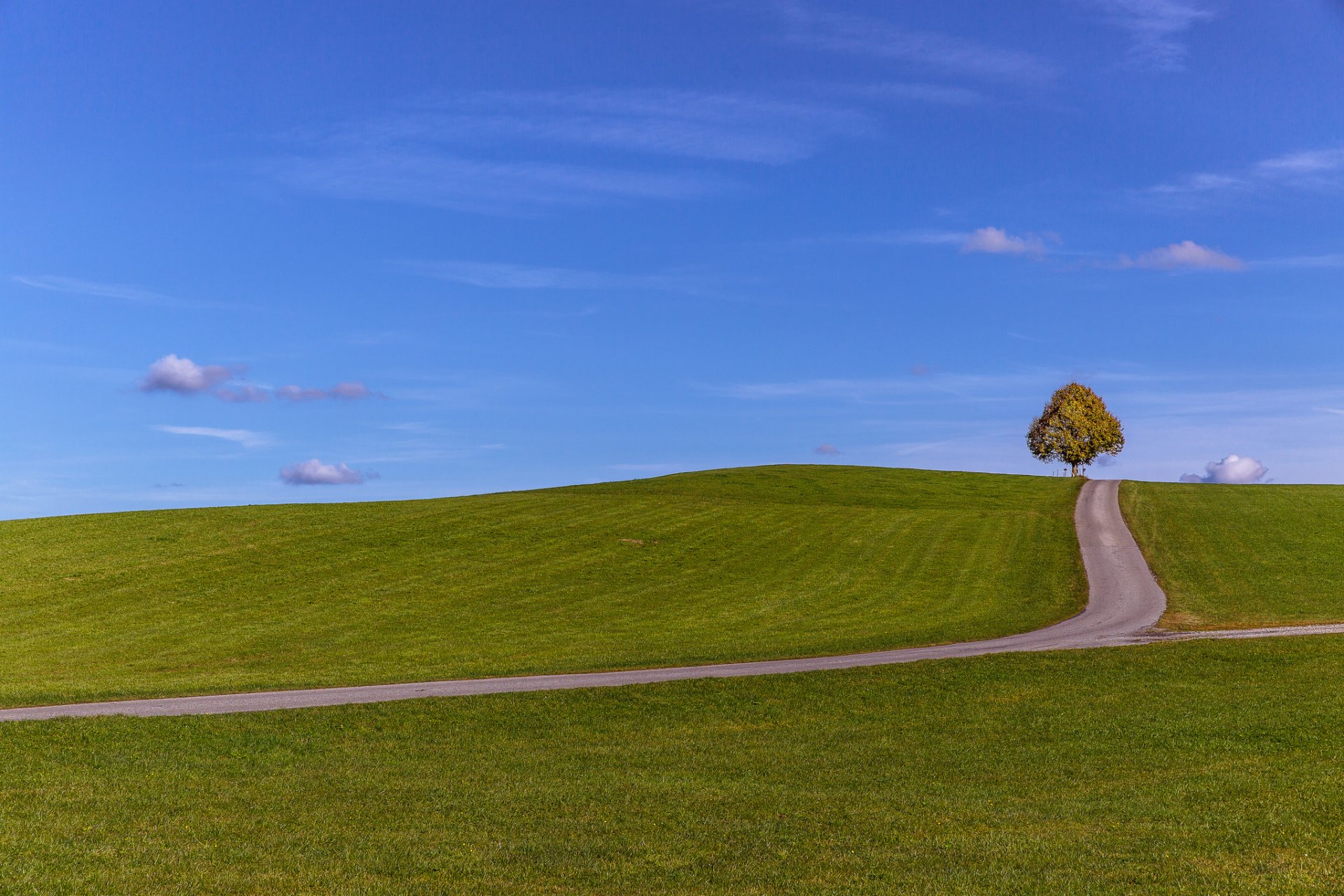 himmel wolken hügel feld baum straße