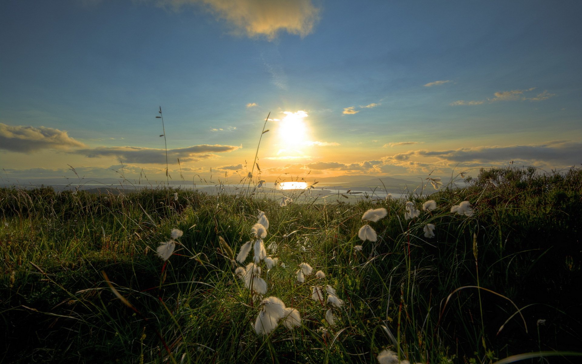 coton irlandais mer matin paysage