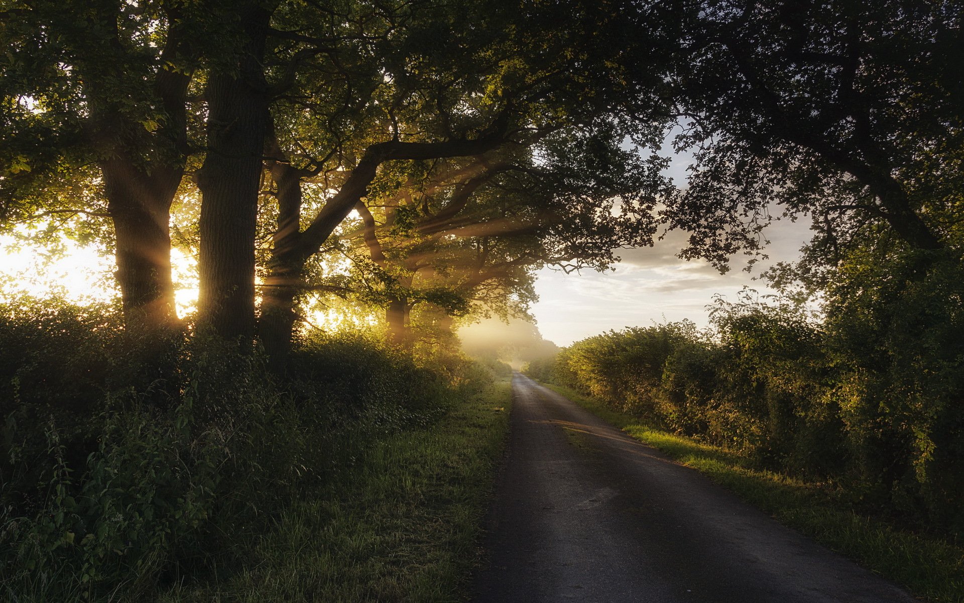 morgen straße licht landschaft