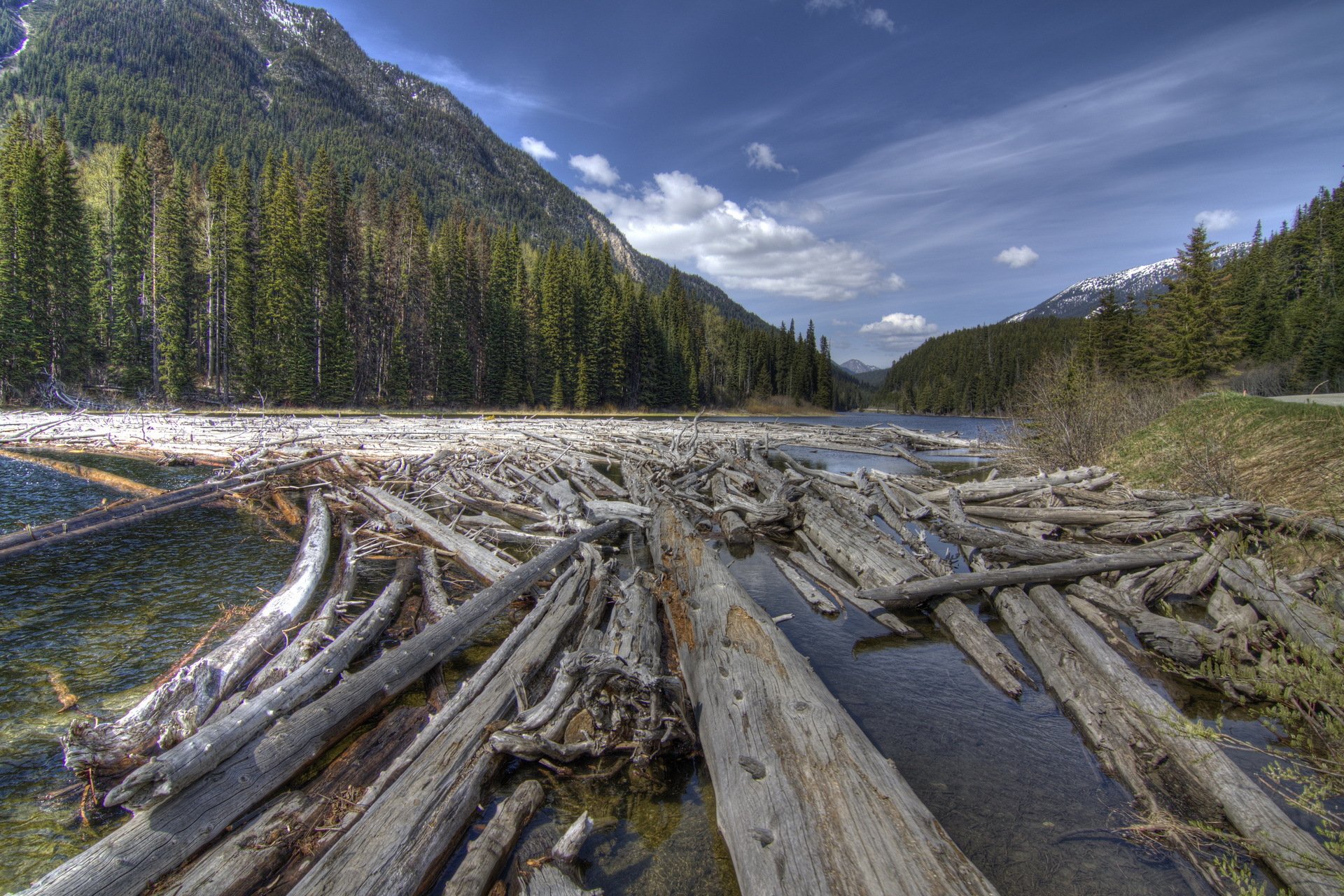 berge wald fluss protokolle