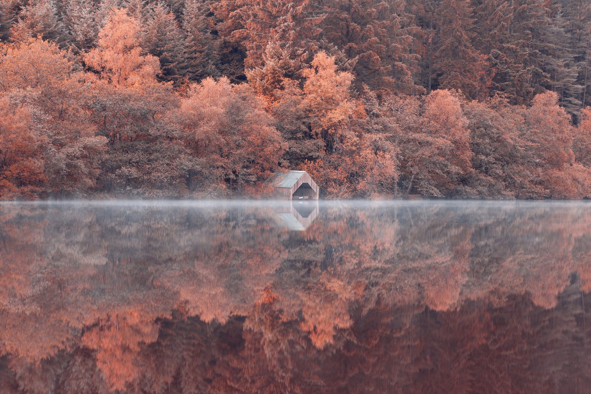 pente forêt arbres lac réflexion