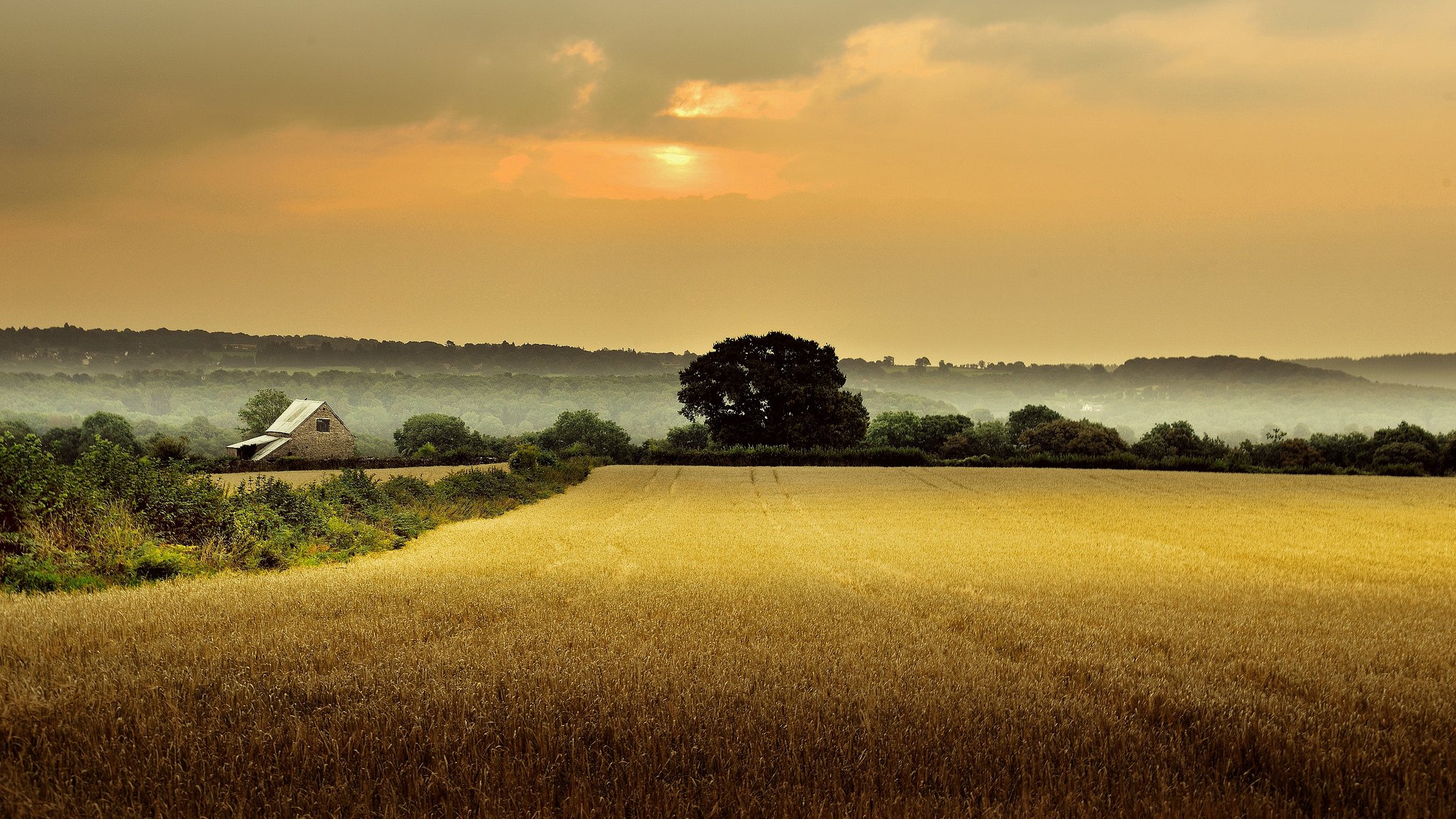 angleterre gloucestershire maison champ arbres matin brouillard aube