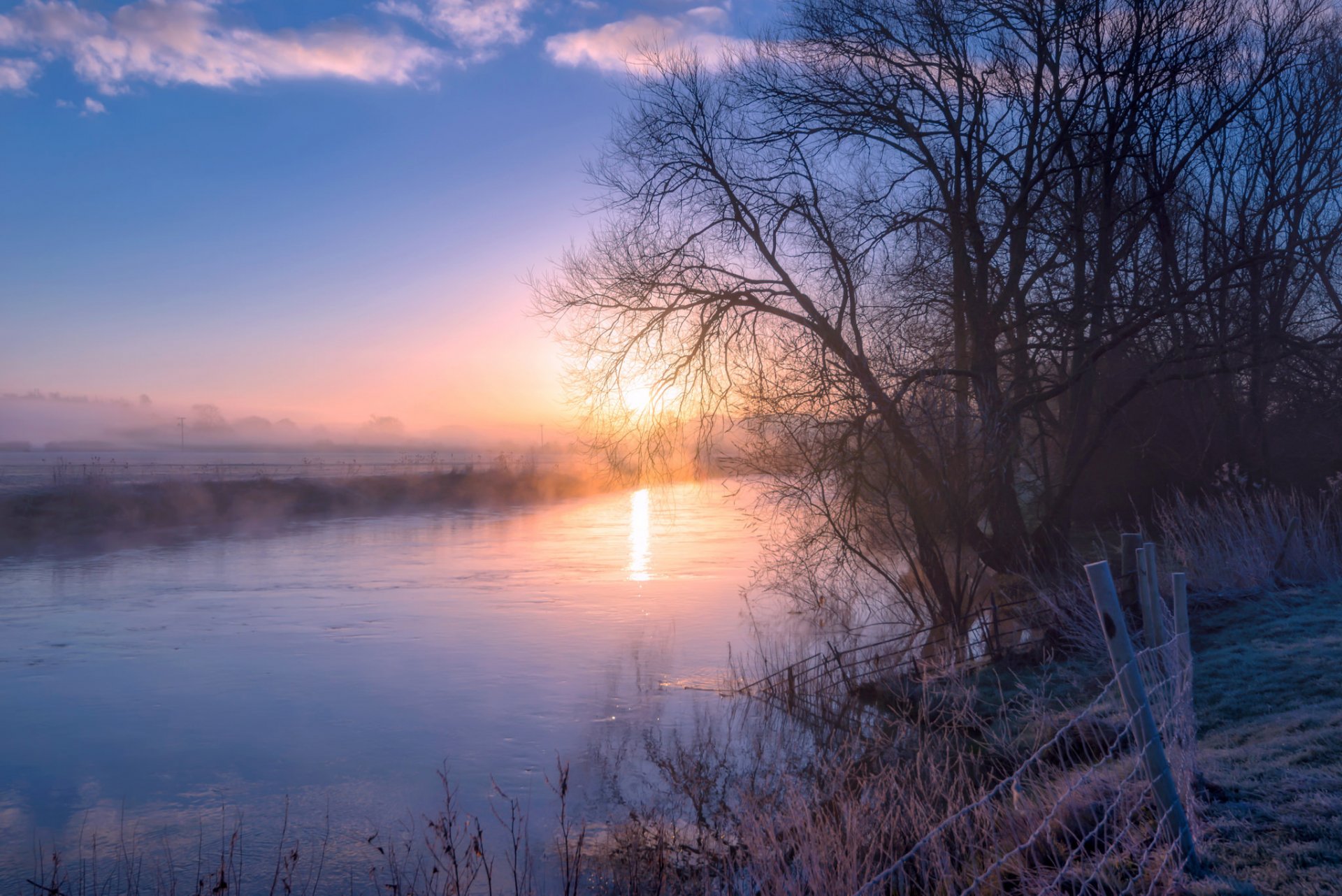 fluss bäume nebel morgen früher frühling