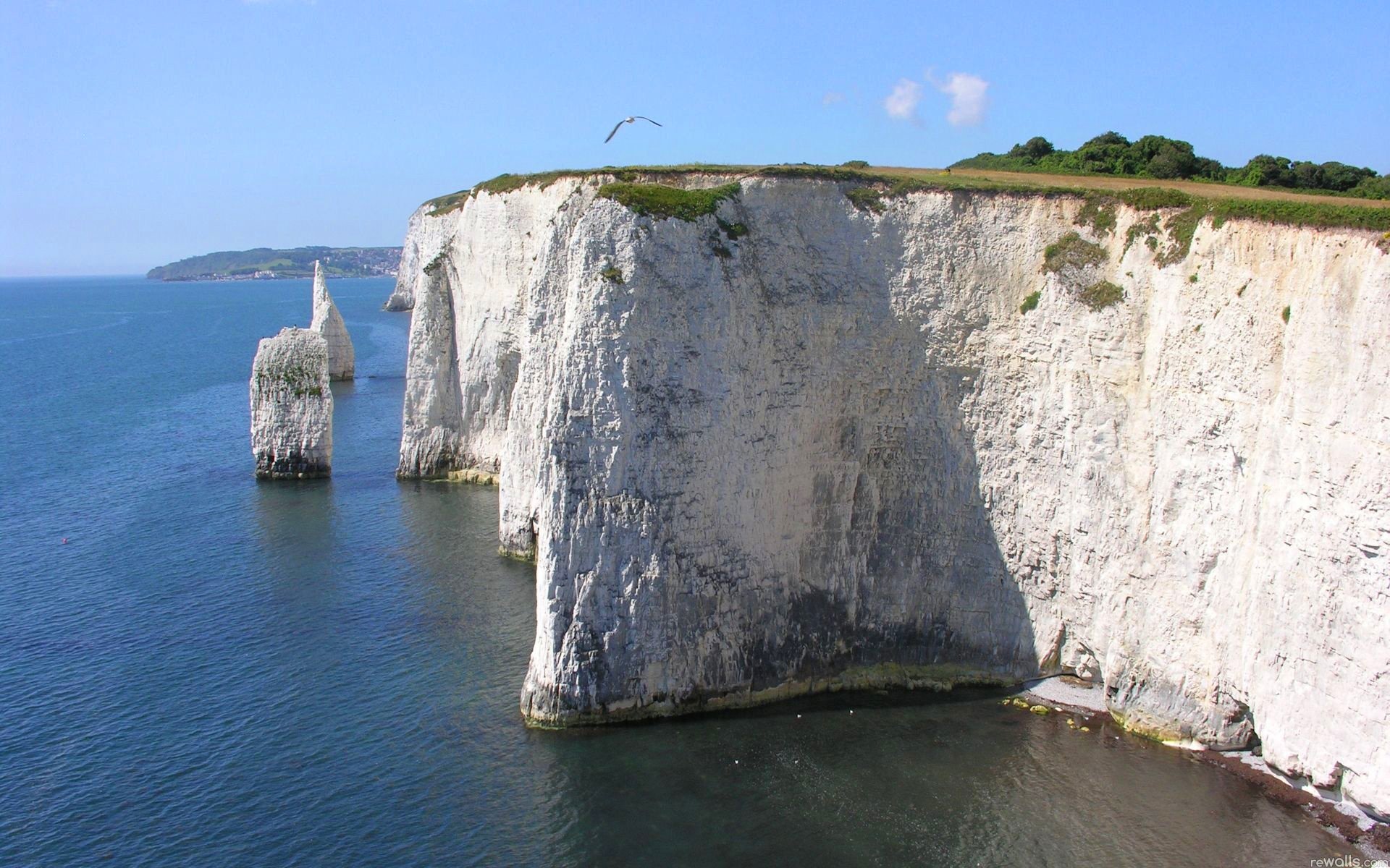 ciel oiseau mer rocher falaise