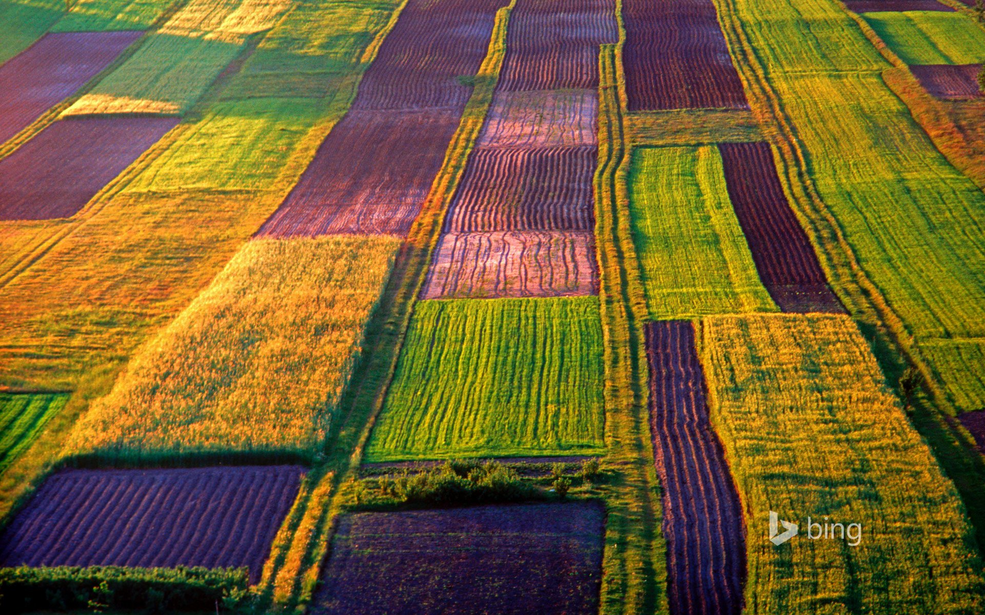 roztocze poland farm the field paint nature