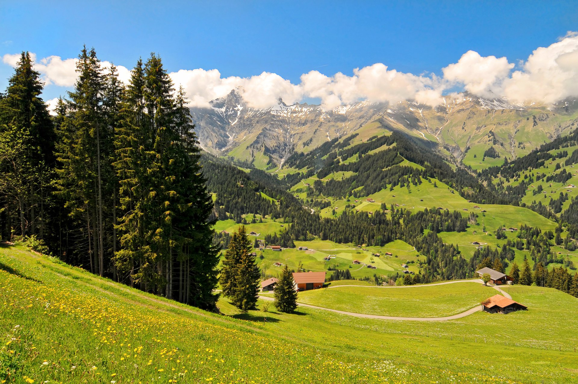 schweiz oberland berge felder wiesen häuser bäume tal