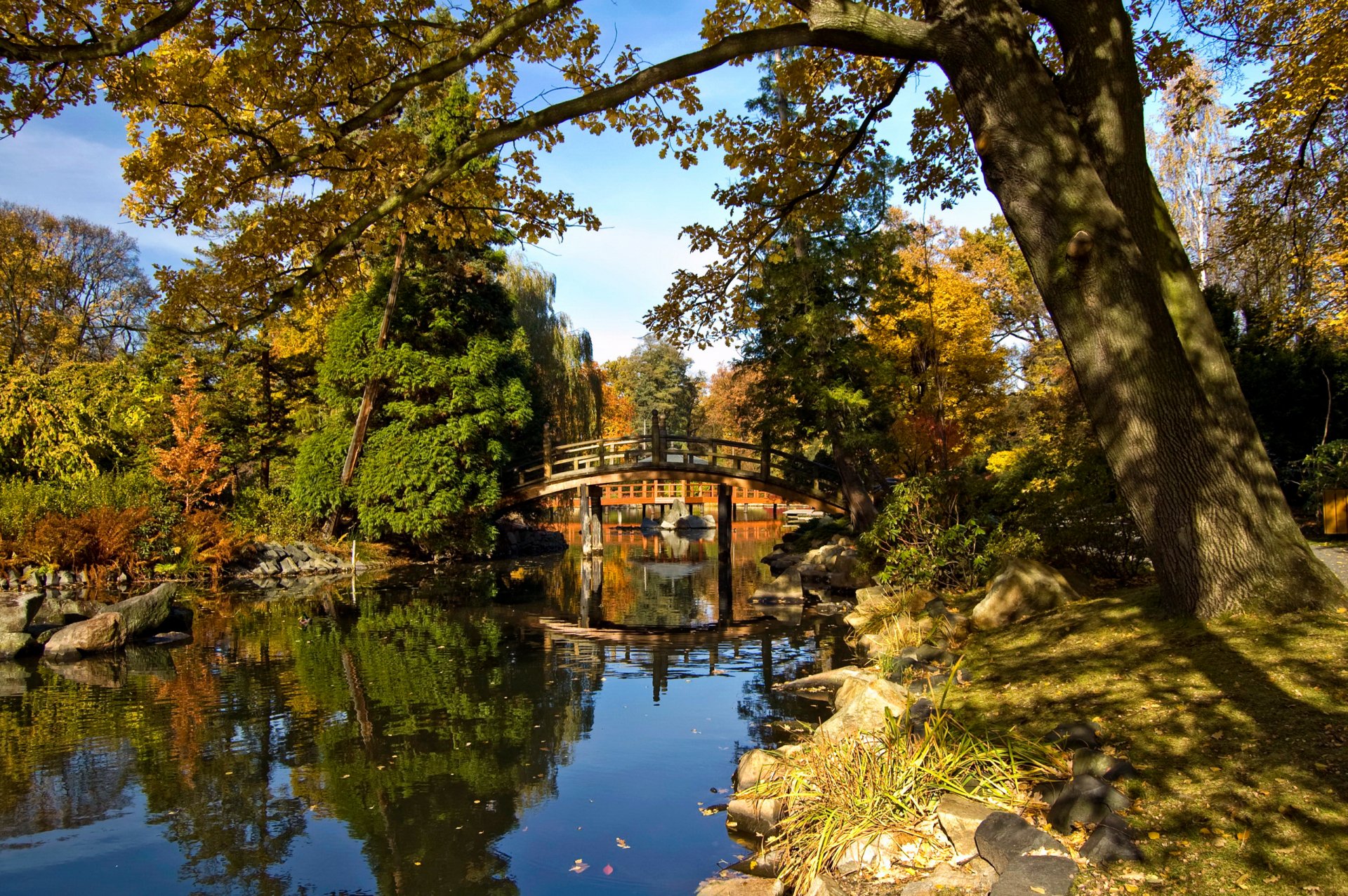 himmel park bäume teich brücke herbst