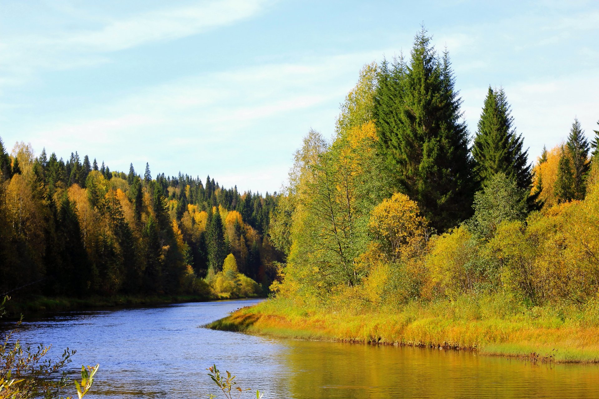 autunno foresta alberi fiume riva russia territorio di perm