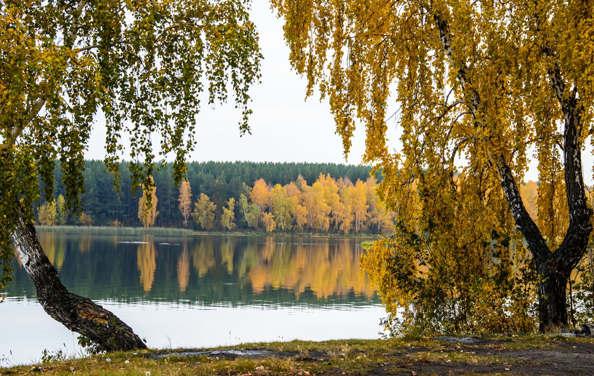 otoño río árboles naturaleza foto