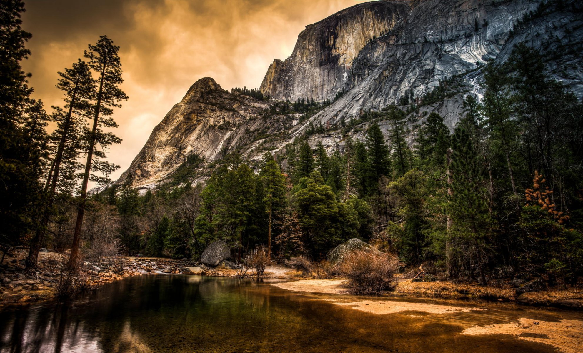 california yosemite national park rock tree river nature