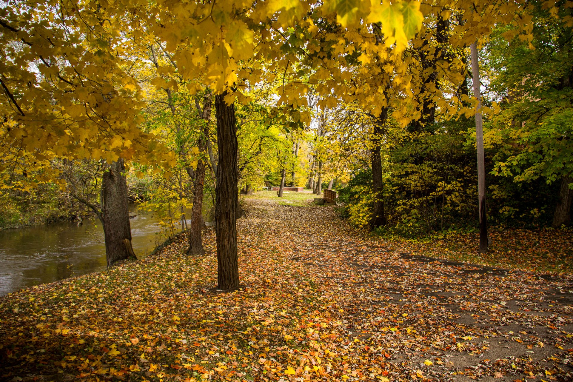 parque estanque banco árboles hojas otoño