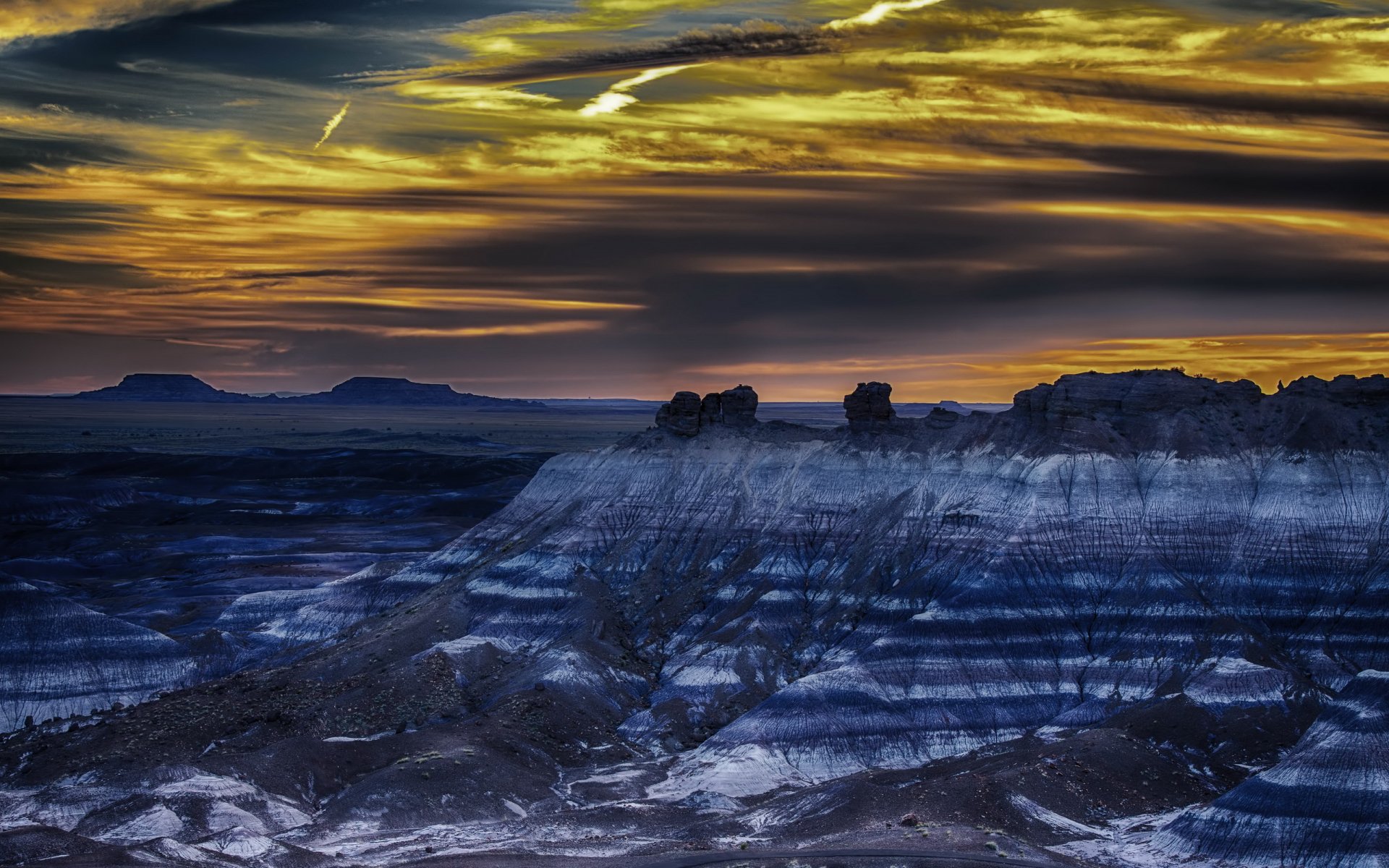 fossilisé forrest arizona nature paysage nuit