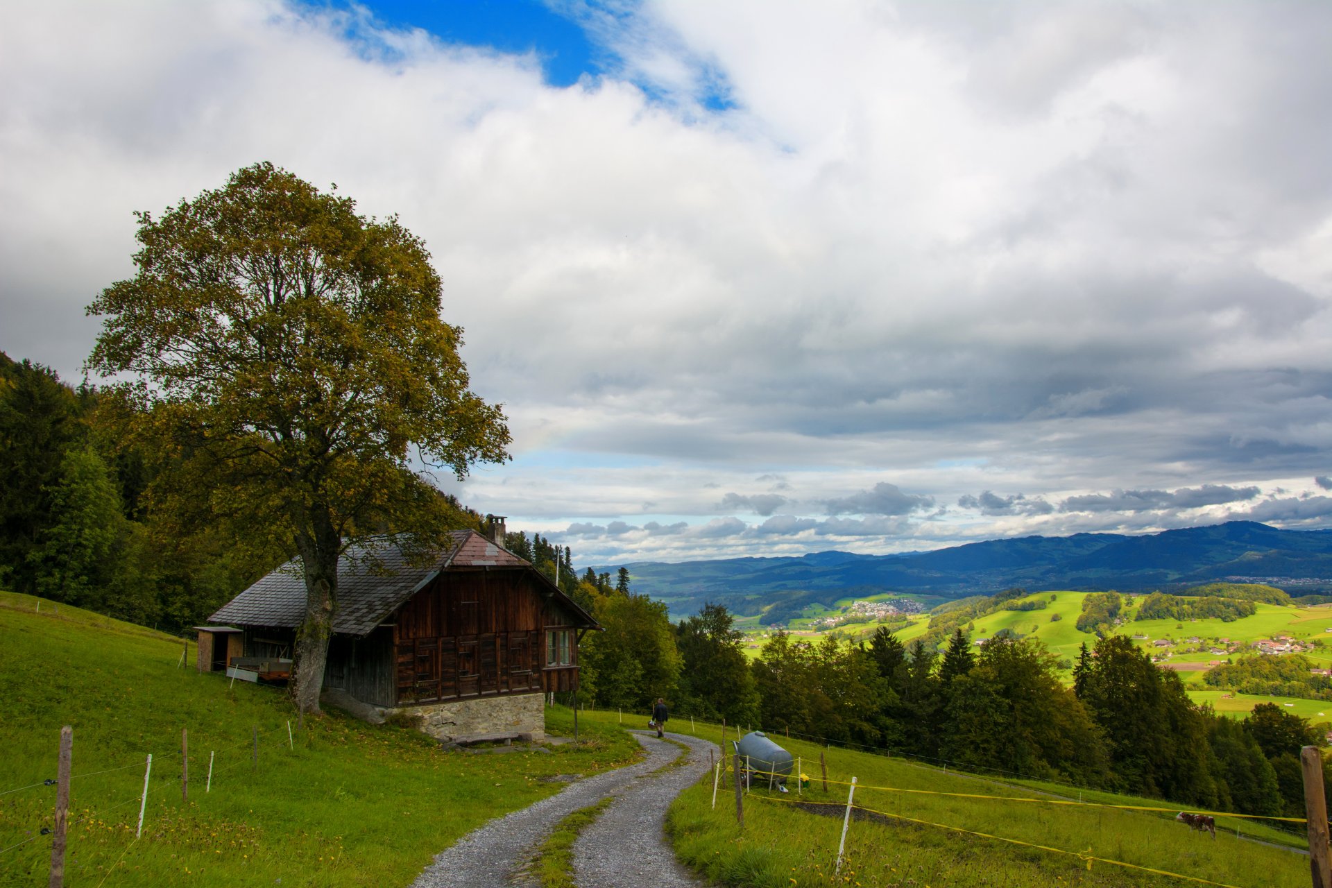 suiza wattenville montañas colinas casa árbol pendiente carretera