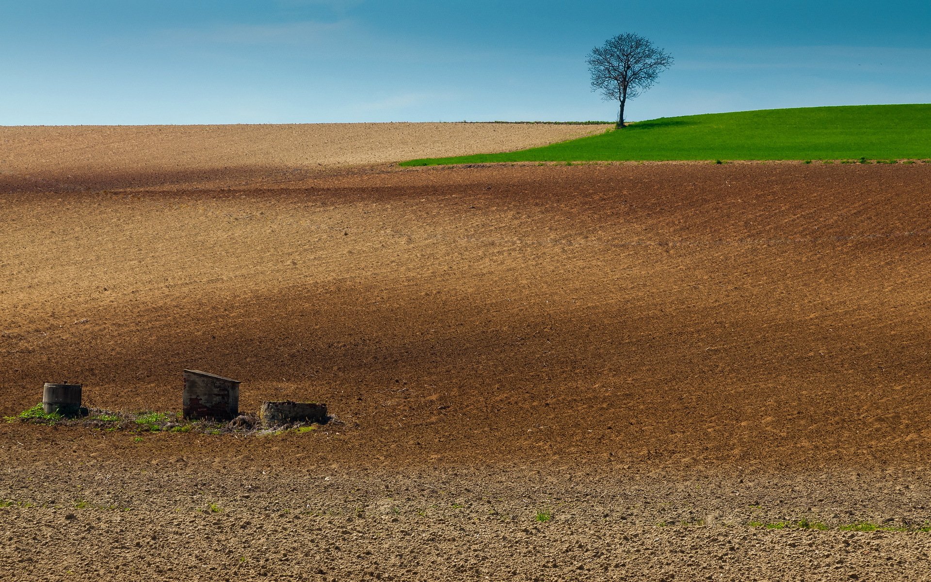 the field arable land tree landscape