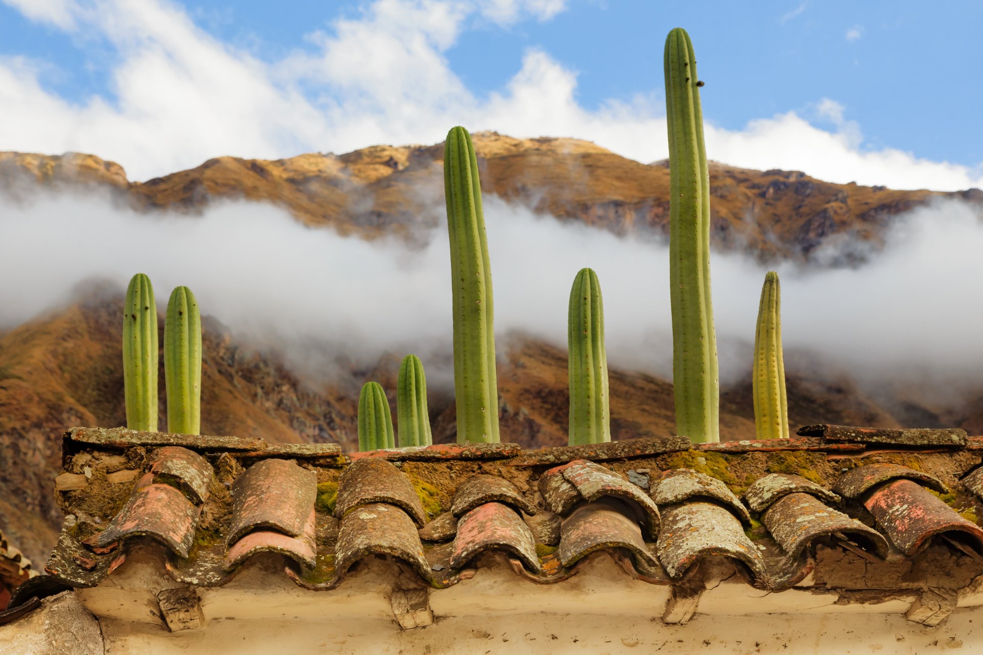 ollantaytambo pérou nuages montagnes toit bardeaux cactus