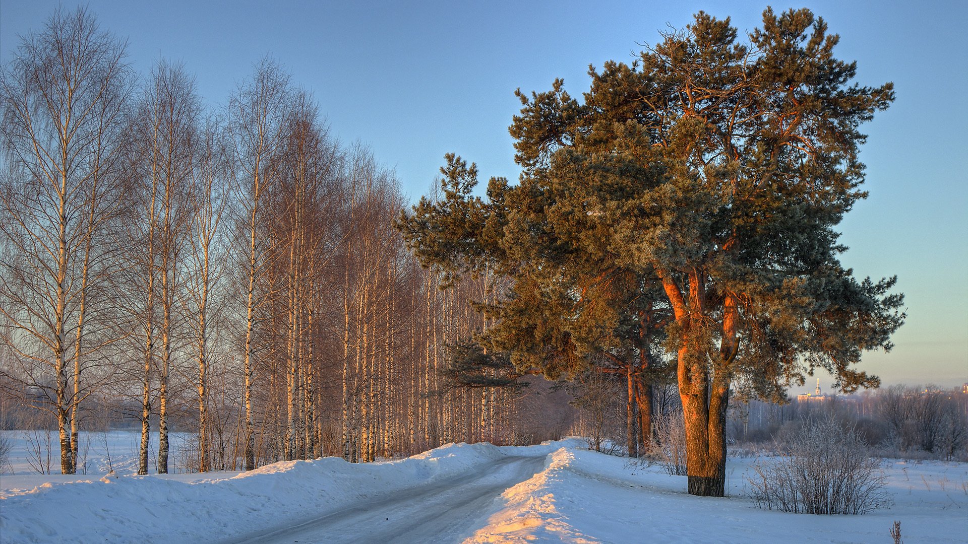 hiver arbres congère neige route bouleaux pin