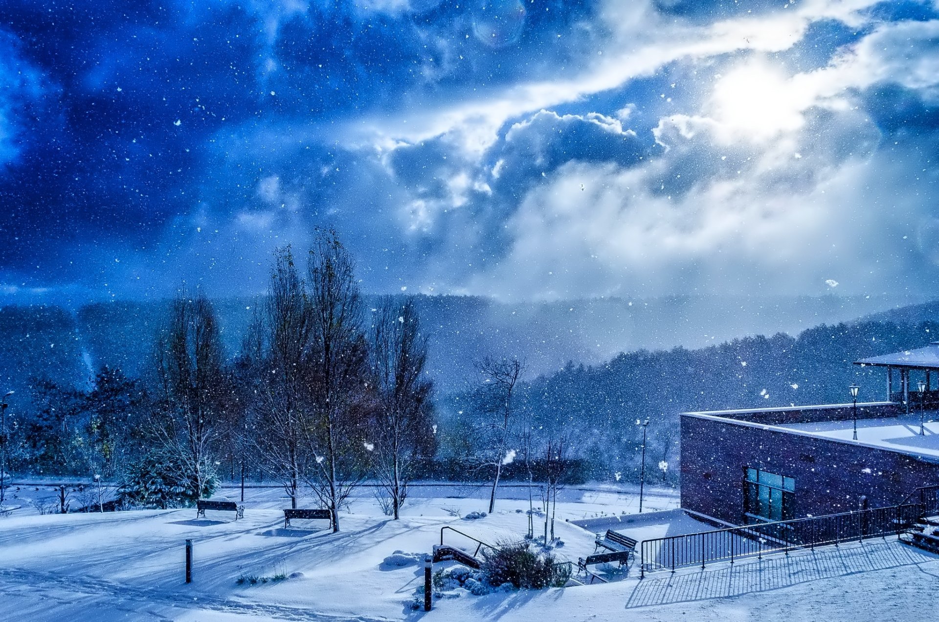 winter snow building tree benches sky cloud