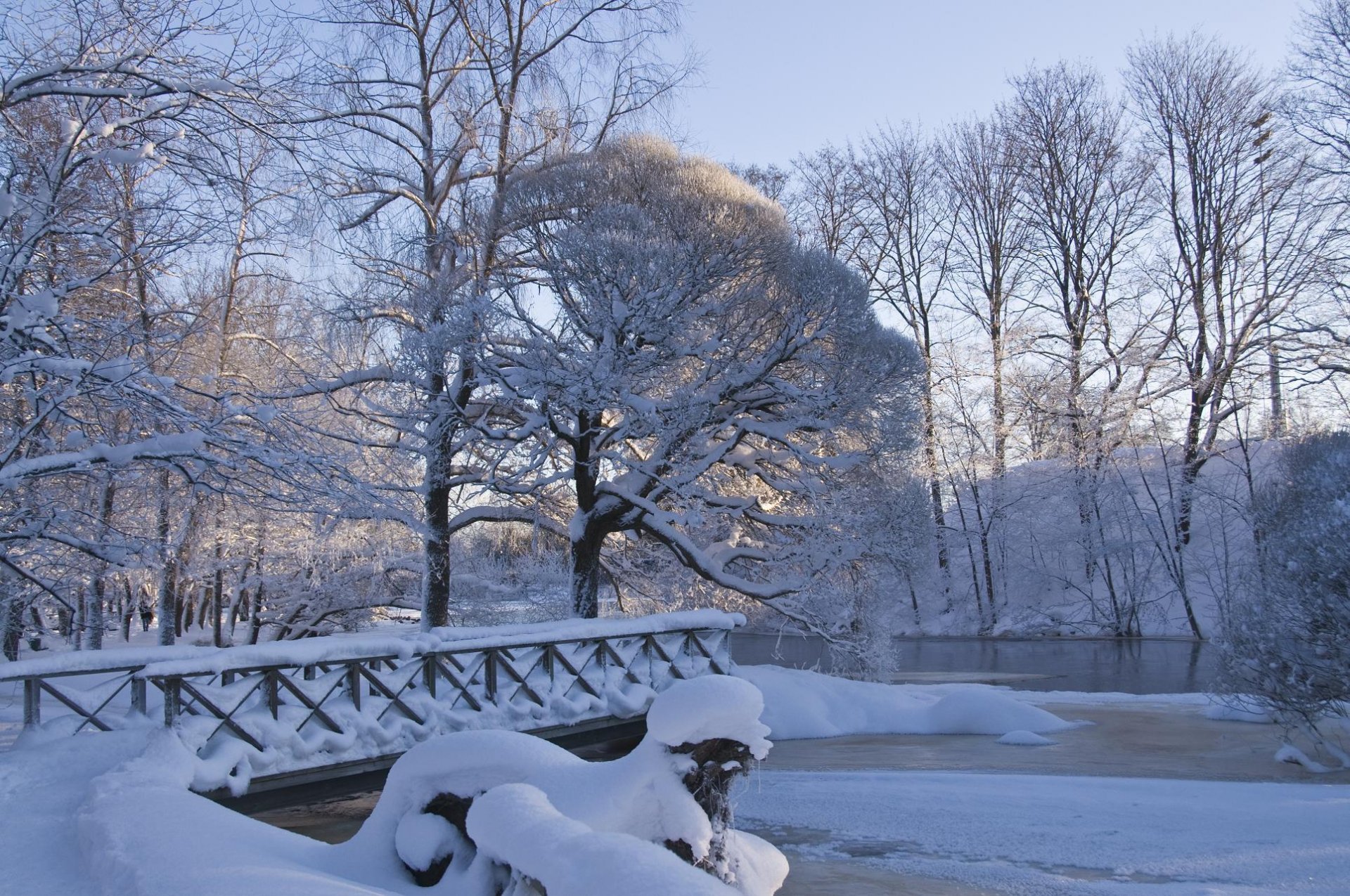 park brücke winter schnee frost natur