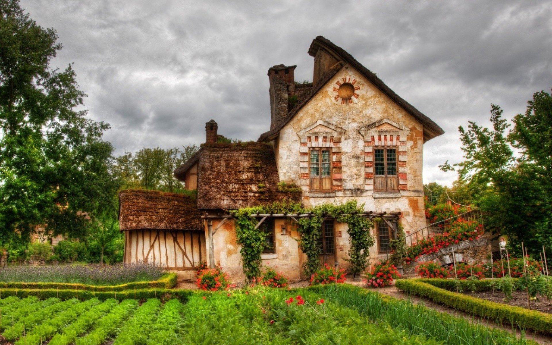 stadt haus wald büsche himmel wolken natur foto