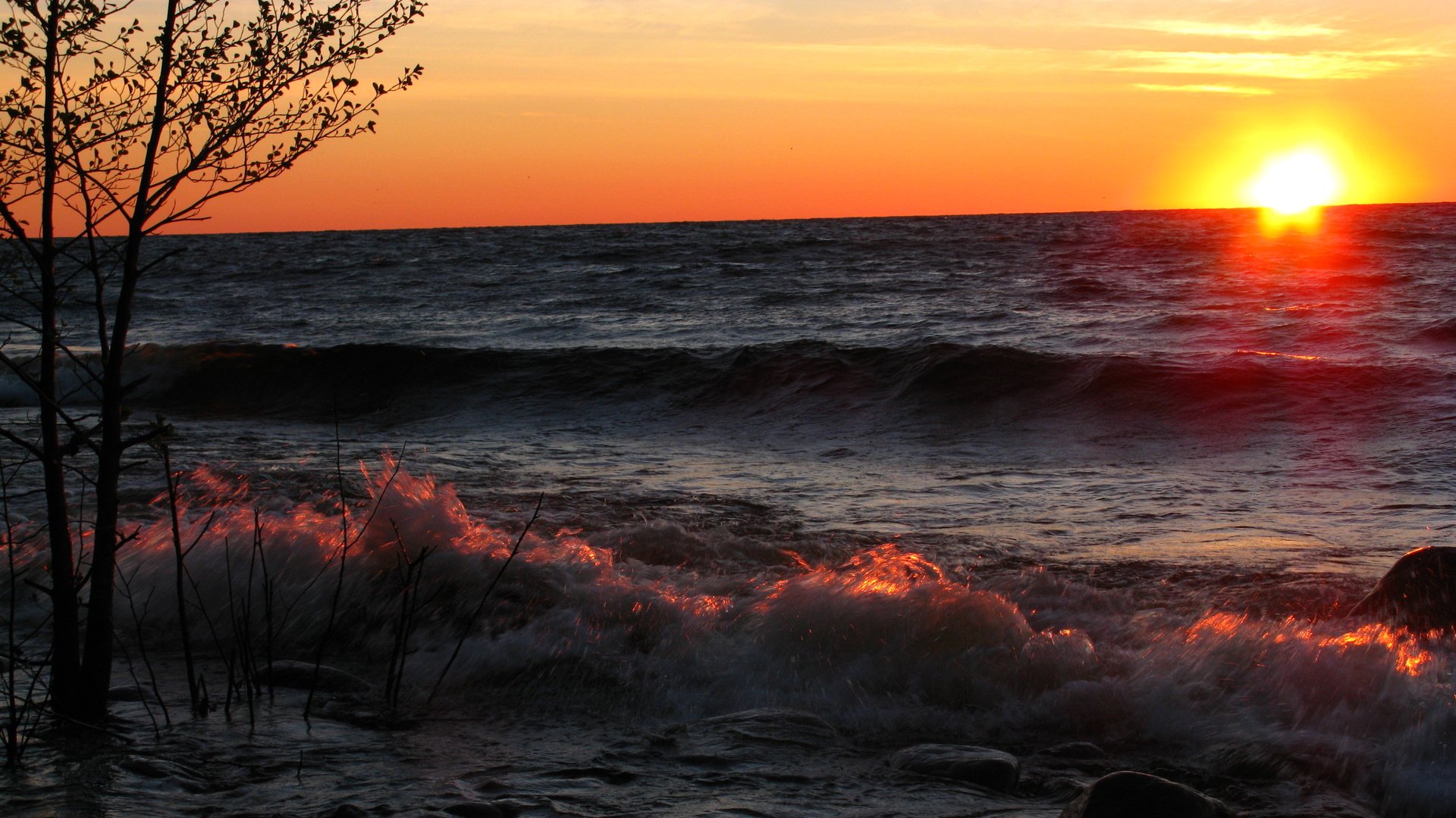 ky sun sunset sea waves tree spray stone