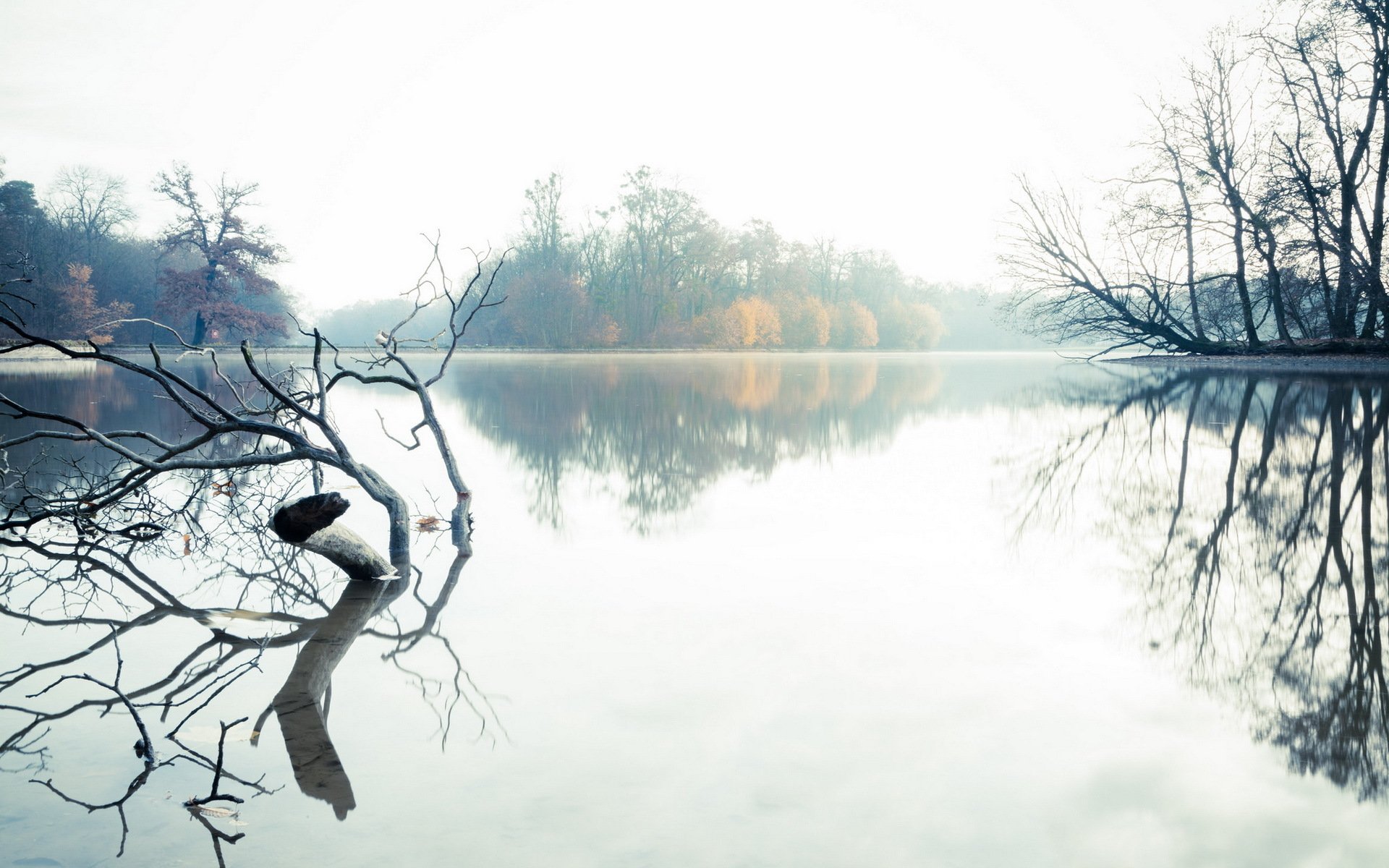 lago mañana paisaje niebla