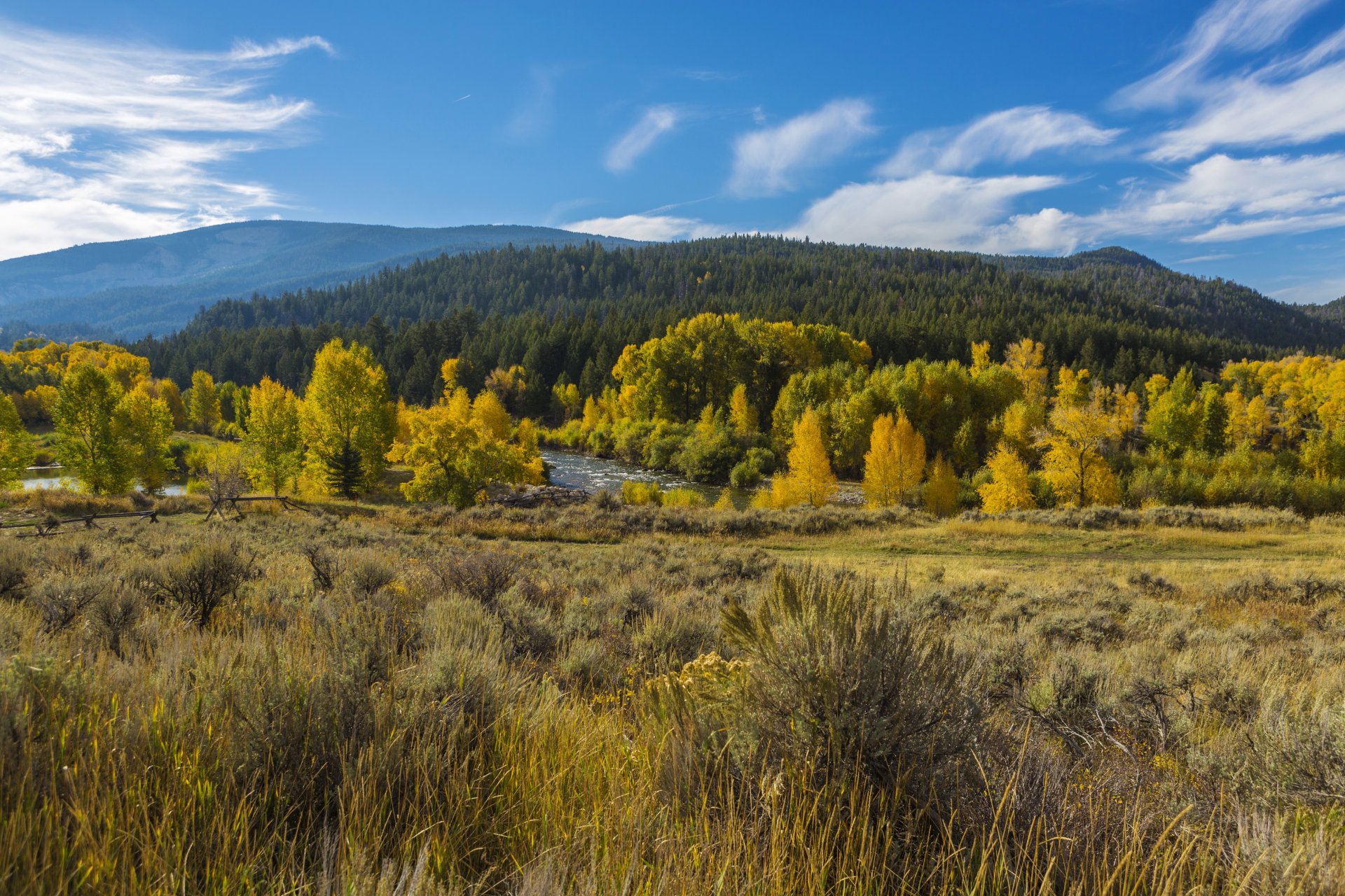 usa wyoming national park grand teton grand teton wyoming forest trees yellow bushes grass river mountains autumn