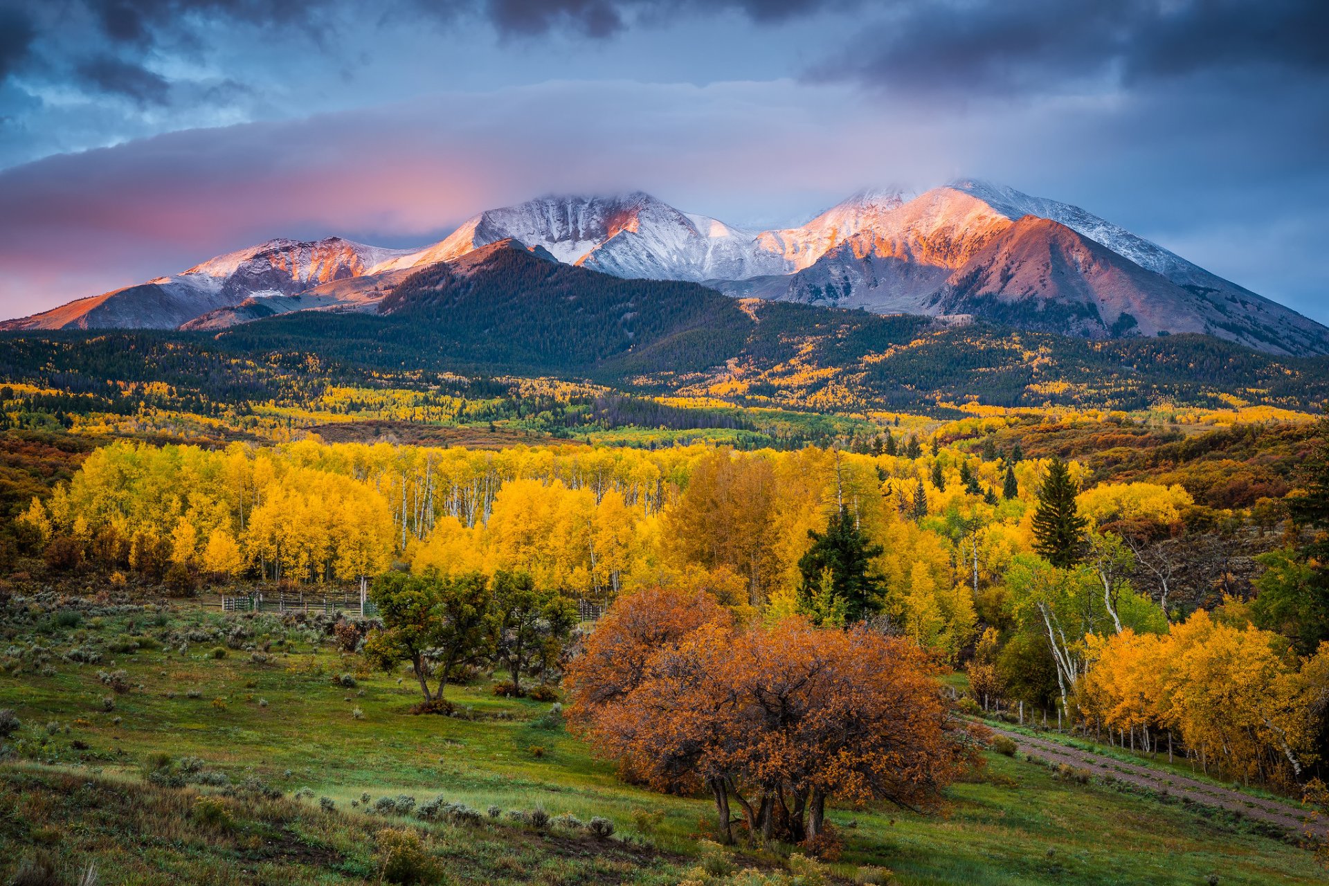 united states state colorado autumn mountain mount sopris morning light tree paint