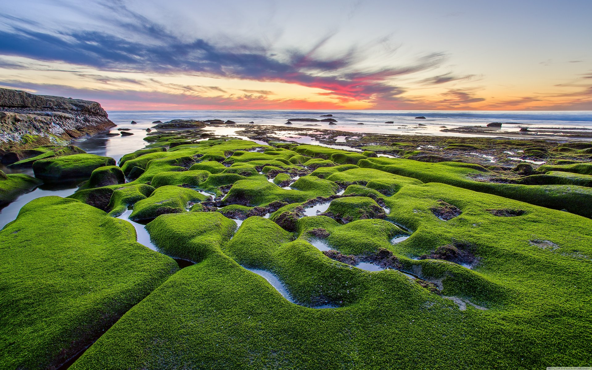 ea beach sunset stones moss . green