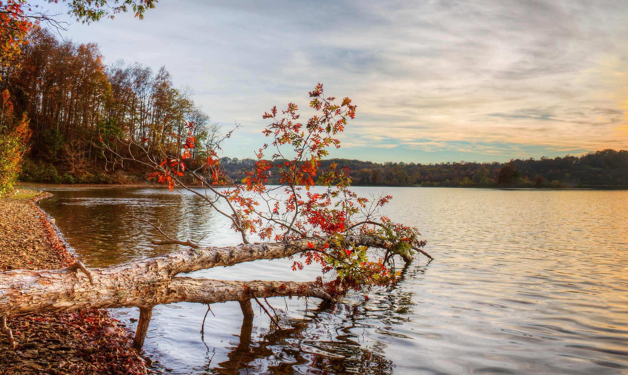 rzeka jesień krajobraz natura zdjęcia