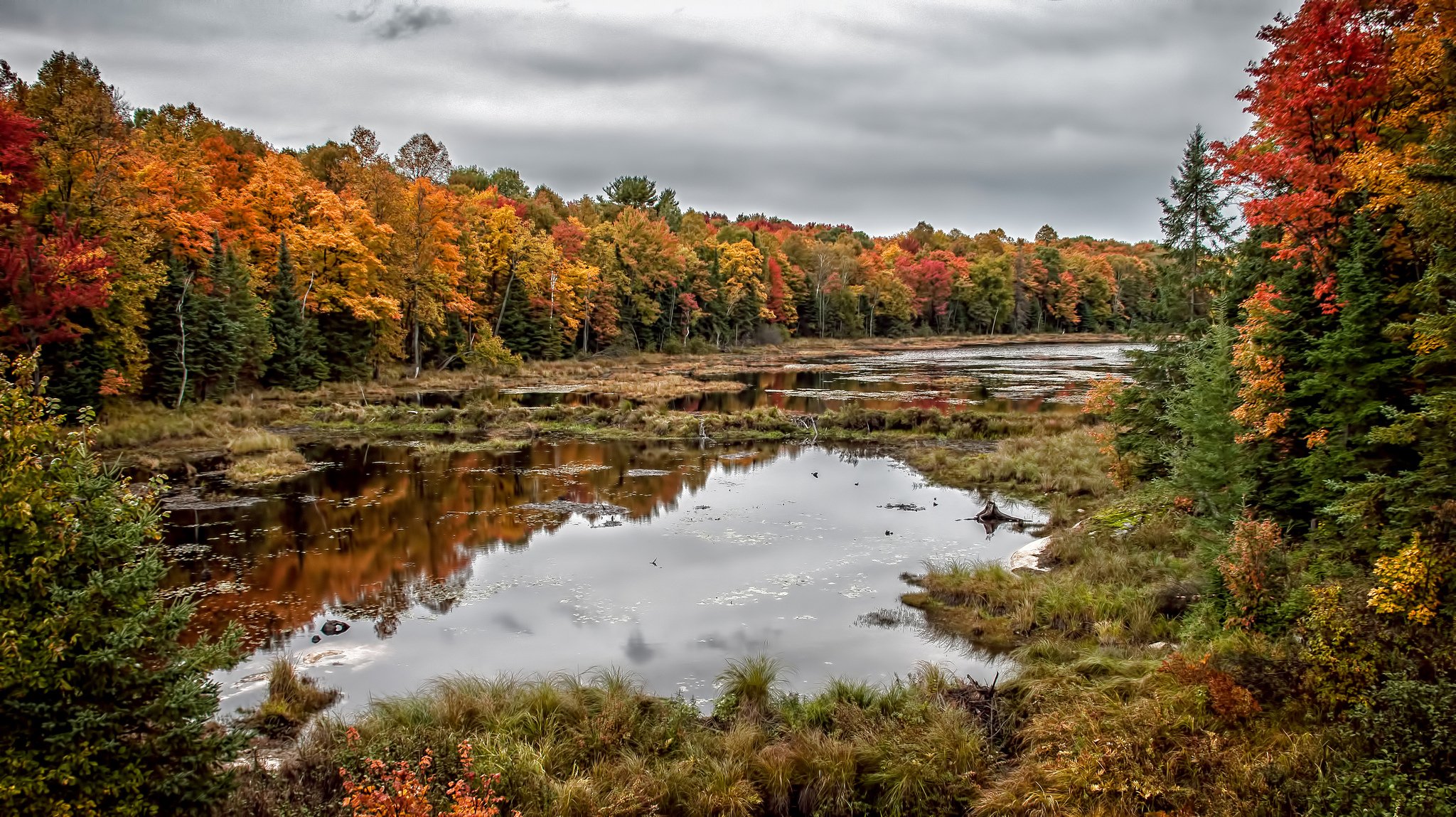 autumnal reflections killbear provincial park ontario