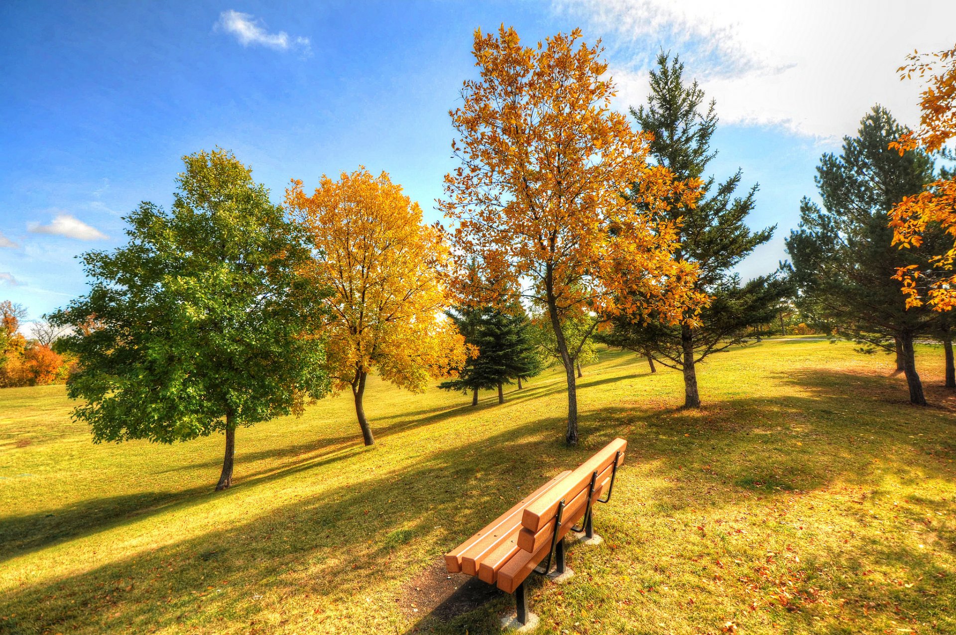 himmel park bank gras bäume herbst