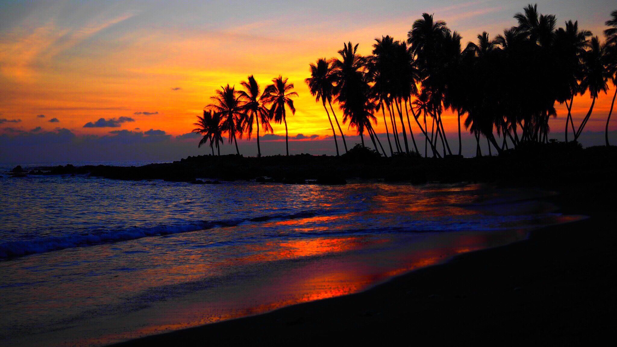 meer strand himmel wolken palmen silhouetten