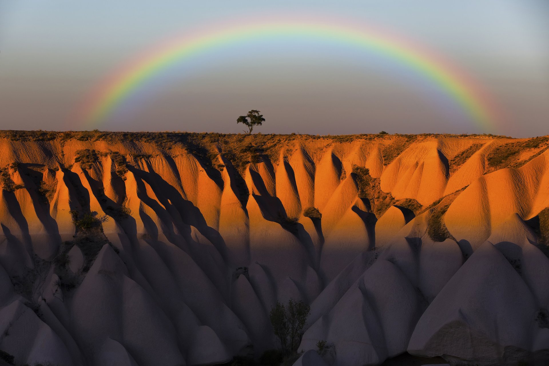 turquie cappadoce کاپادوییه գամիրք montagnes roches arbre ciel arc-en-ciel