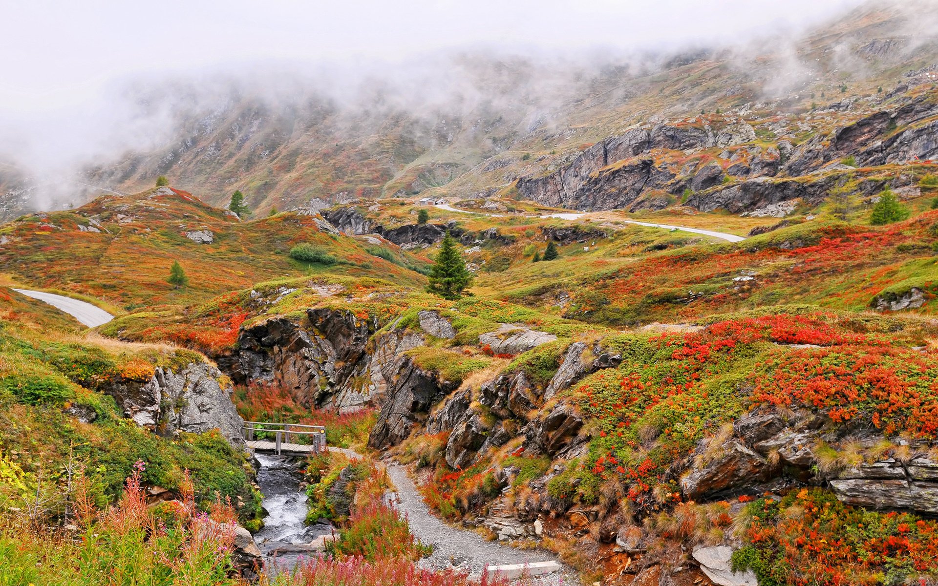 berge wolken nebel felsen fluss bach brücke gehweg gras blumen