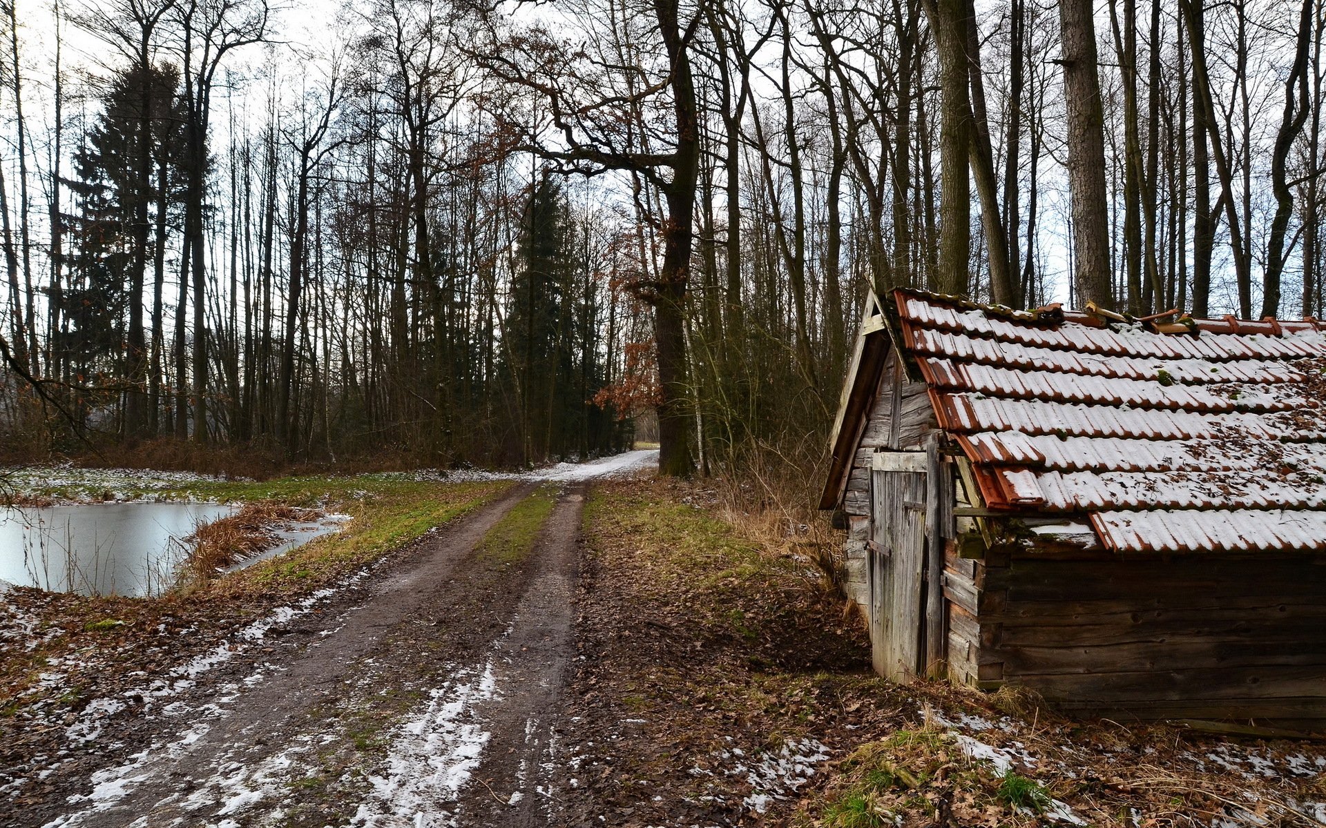 haus straße wald