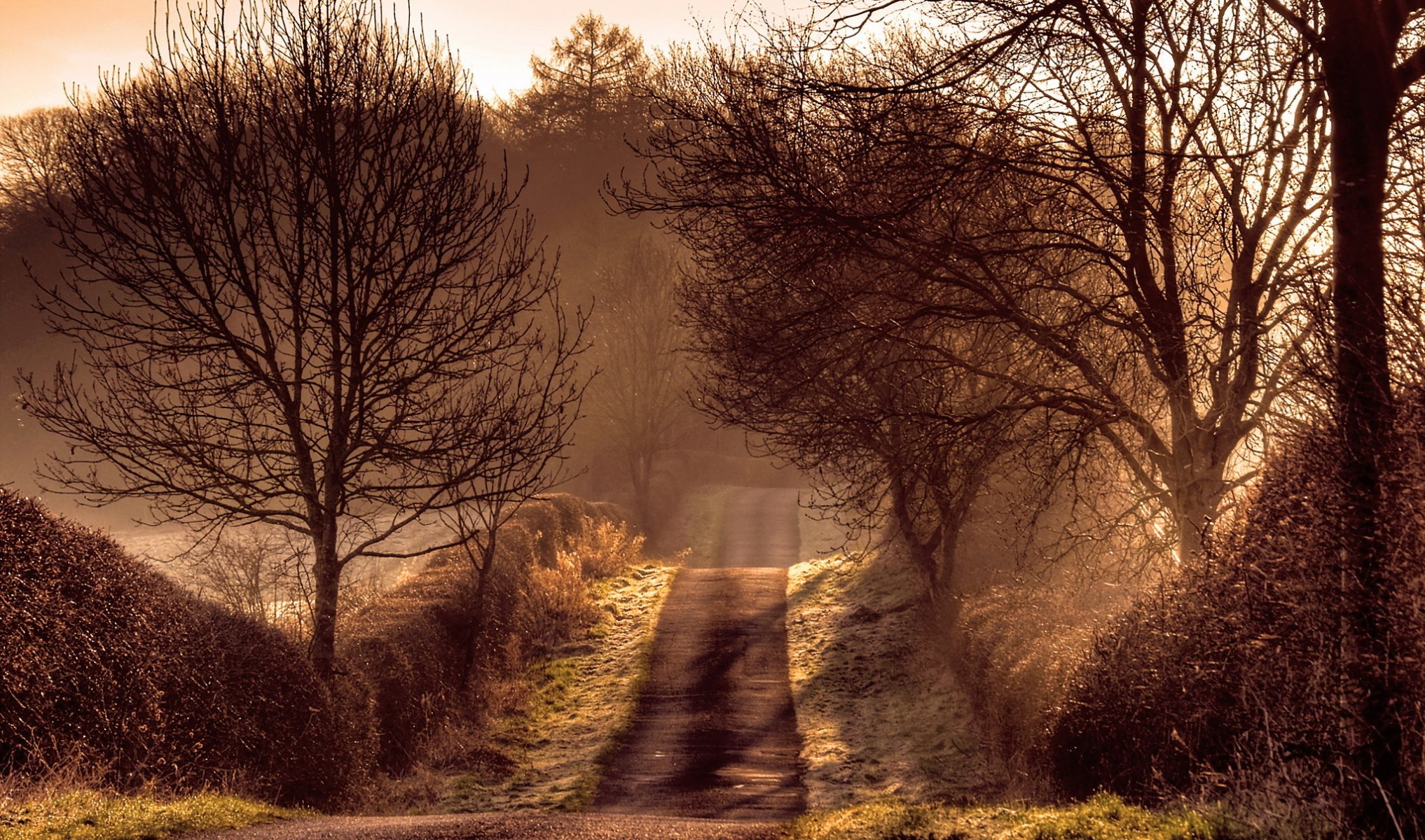 morgen straße licht