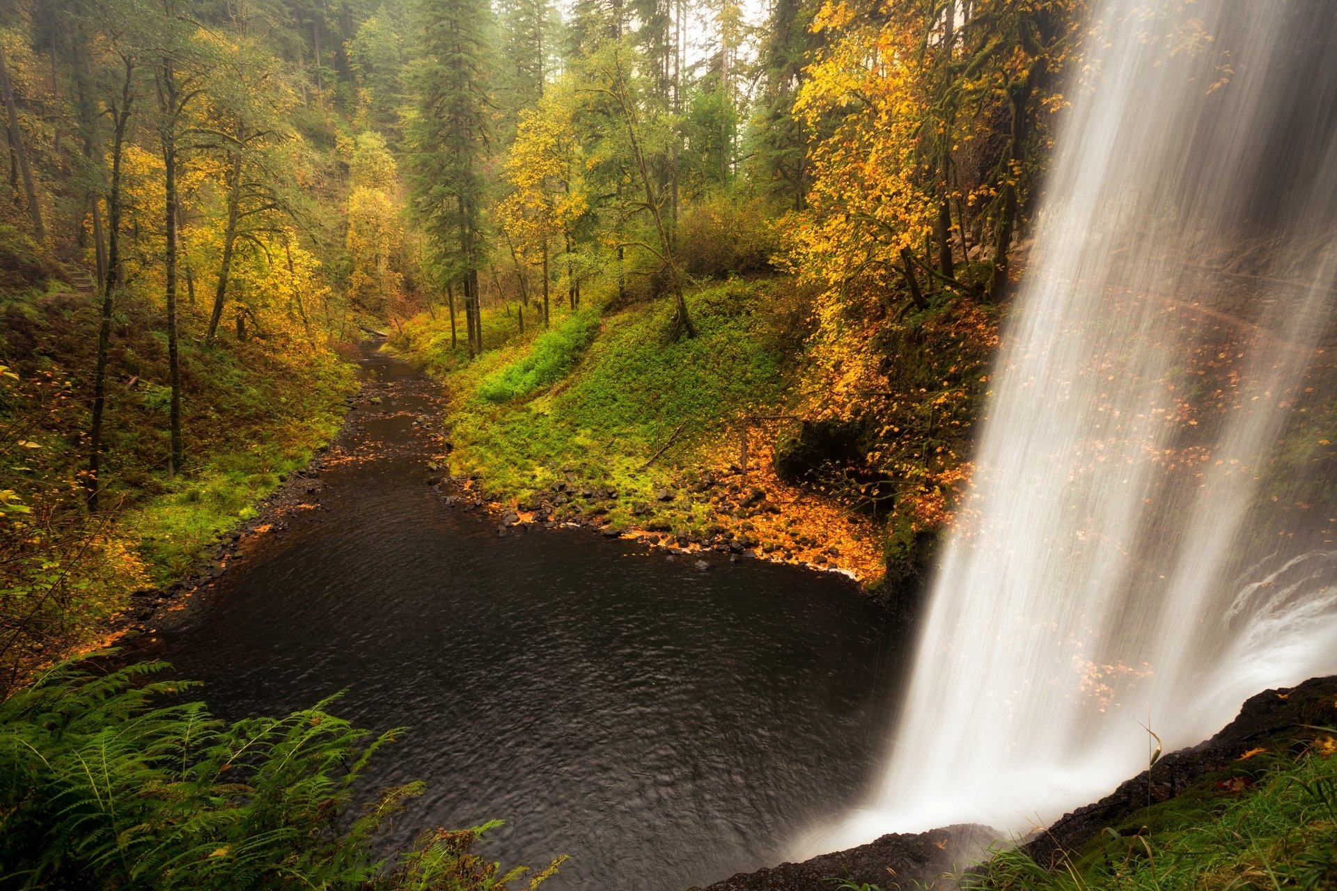 nature paysage forêt cascade eau arbres automne rivière automne vue